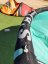 Kite 2019 NAISH S25 Boxer 12m