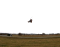 Landkiting 12.2.2025