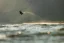 Kiteboard 2024 NAISH Motion NVision