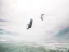 Kite 2026 NAISH Psycho Q