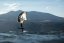 Wing-Surfer 2024 NAISH ADX Nvision