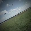 Landkite spot u Hradce Králové