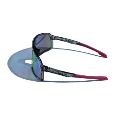 Sunglasses BejkRoll Champion Revo - grey / purple