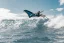 Wing-Surfer 2025 NAISH ADX