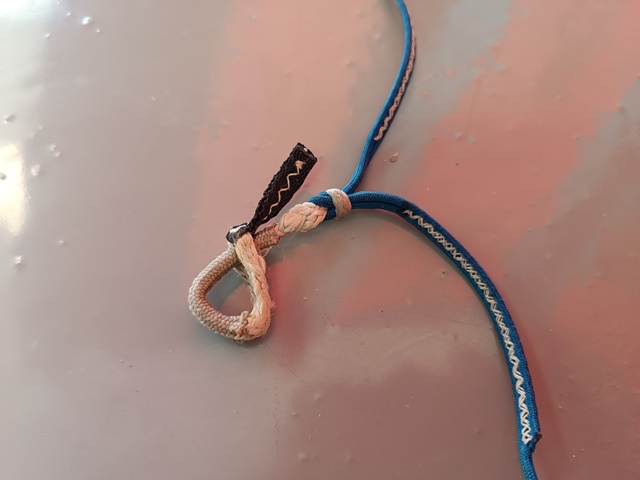 Kite SLINGSHOT Raptor 9m complete