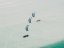 Kite FLYSURFER Heli