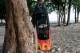 Jaký twintip kiteboard od NAISH si vybrat?