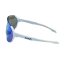 Sunglasses BejkRoll Champion Revo + EVA - white / blue