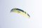 Kite FLYSURFER SONIC4 pod lupou