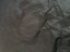 Kite OZONE Edge 15m komplet