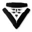 INDIANA Foilboard V Strap set pro