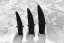 NAISH S-series hydrofoil stabilizer