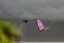 Kite 2025/26 NAISH Pivot LTD