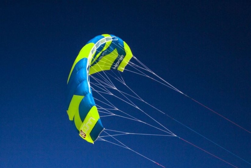 kite 2016 PETER LYNN HORNET