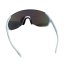 Sunglasses BejkRoll Champion Revo + EVA - white / blue