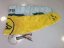 Kite FLYSURFER PEAK5 5m