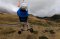 Extreme Kite Landboarding