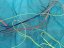 Kite OZONE Frenzy 13m komplet