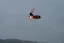 Kiteboard 2025 NAISH Motion - Dĺžka kiteboardu / wakeboardu: 142cm