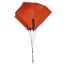 NAISH 2025 WING Anchor