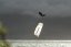 Kite 2026 NAISH Pivot NVision