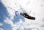Kite 2027 NAISH Pivot Q