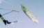 Kite FLYSURFER VMG2