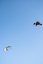 Kite S27 NAISH Pivot