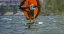 NAISH 2027 Hover Nimbus Foilboard