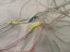 Kite DUOTONE Capa 13m complete