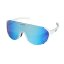 Sunglasses BejkRoll Champion Revo + EVA - white / blue