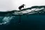 hydrofoil NAISH SHA Semi-Complete