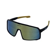 Sunglasses BejkRoll Champion Revo - black / gold