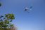 Kite FLYSURFER Sonic4