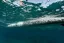 Pevný SUP 2026 NAISH Touring