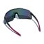 Sunglasses BejkRoll Champion Revo - grey / purple
