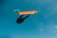 Kite set FLYSURFER Hybrid2 + Stage2 kiteboard + bar