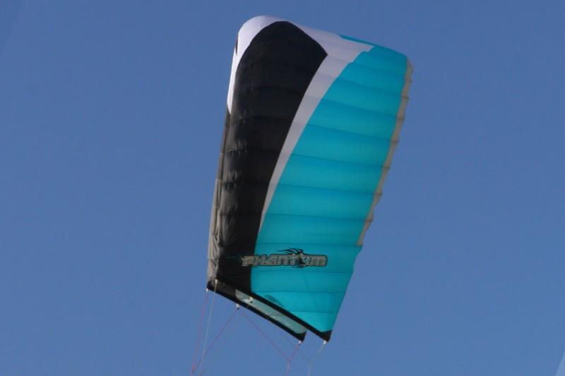 kite 2015 PETER LYNN Leopard
