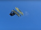 Sonic session Hermanus - kite video