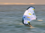 Wing-Surfer FLYSURFER TAO SH