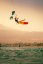 Kiteboard 2026 NOBILE NT5 split