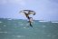 Wing-Surfer S25 NAISH LE