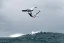 Wing-surfer 2025 NAISH Neutron