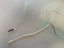 Kite Duotone EVO SLS 12m  only