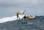 Wing-Surfer 2025 NAISH ADX Nvision