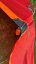 Kite NAISH S26 Triad 6m only