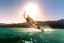 Kiteboard 2026 NOBILE NT5