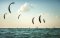 Který kite je vhodný pro kite foiling – trubka nebo hadra?