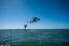 Wing-Surfer FLYSURFER TAO2 RH