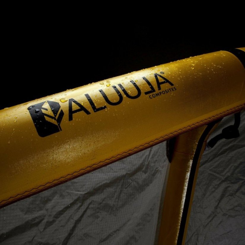 Kite 2024 NAISH Pivot Nvision